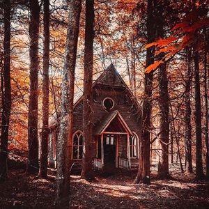 Meet your Posher, Elle